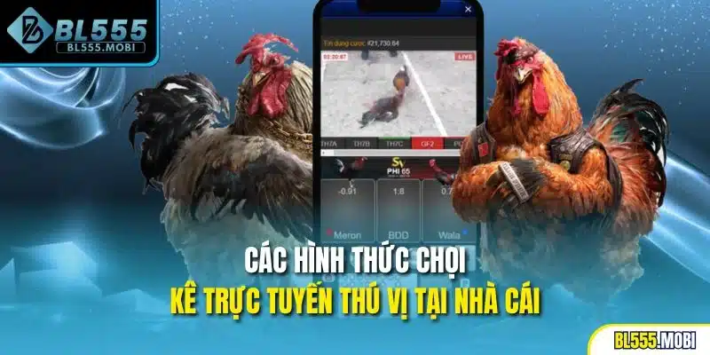 Các hình thức chọi kê trực tuyến thú vị tại nhà cái