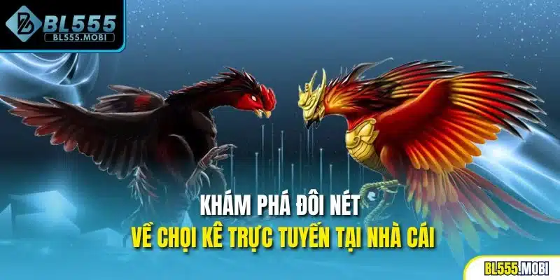 Khám phá đôi nét về chọi kê trực tuyến tại nhà cái